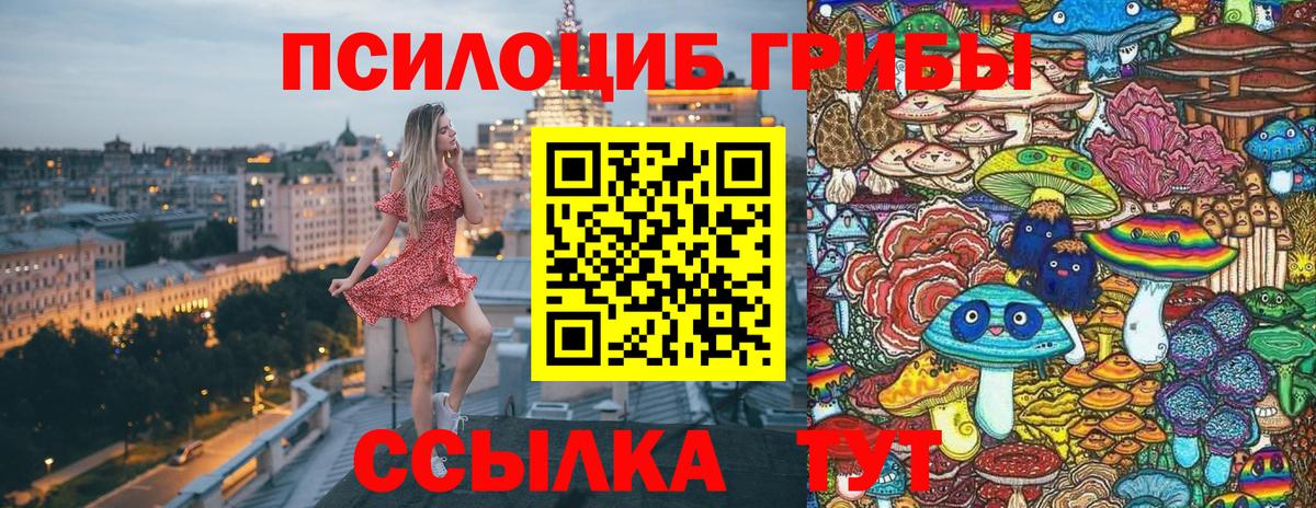 Галлюциногенные грибы MAGIC MUSHROOMS Кировск