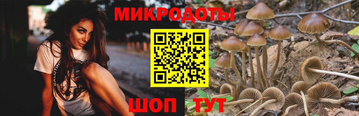 Псилоцибиновые грибы прущие грибы  Вход с VPN  Галлюциногенные грибы Magic Shrooms  Кировск 